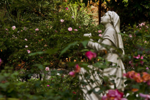 Enjoy the beautiful gardens at the Franciscan Monastery of the Holy Land while learning about its plants, architecture, history and shrines.