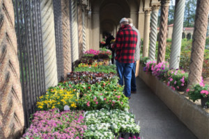 Buy monastery-grown local herbs, vegetables and flowers, and take a tour of the historic gardens at the annual Franciscan Monastery Plant and Herb Sale.